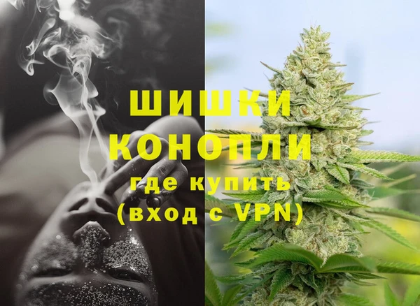 ГАЛЛЮЦИНОГЕННЫЕ ГРИБЫ Переславль-Залесский