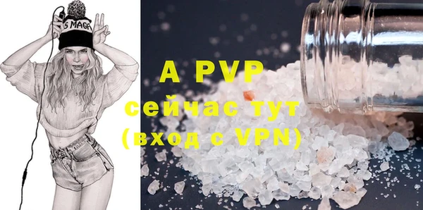 apvp Алзамай