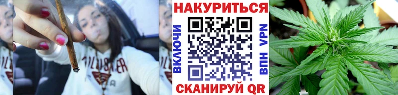 Марихуана сатива как найти закладки Кирс